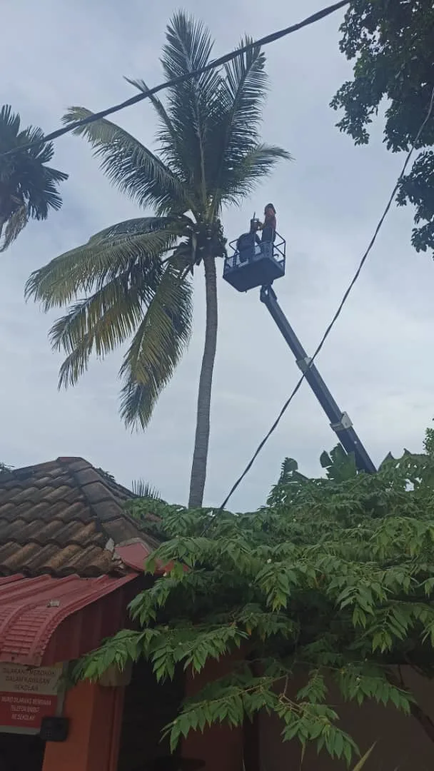 MBK potong pokok 4